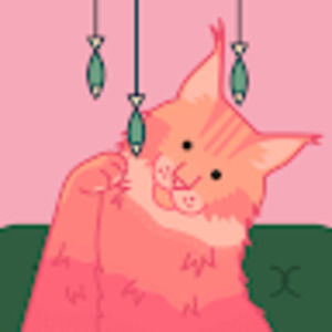 Meet your Posher, Casey